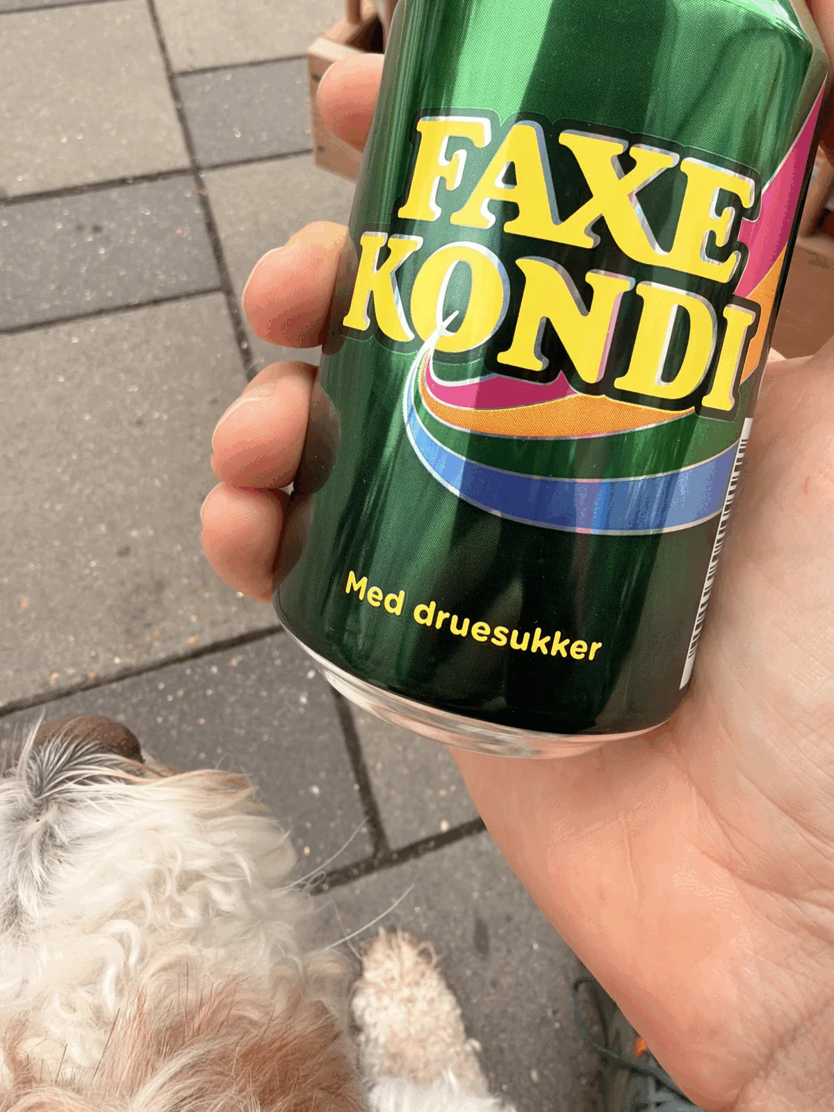 Can of Faxe Kondi as well as the dog’s snout