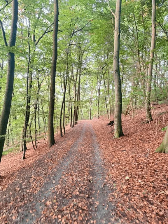 32 km ➡️ 1,000 m ⬆️